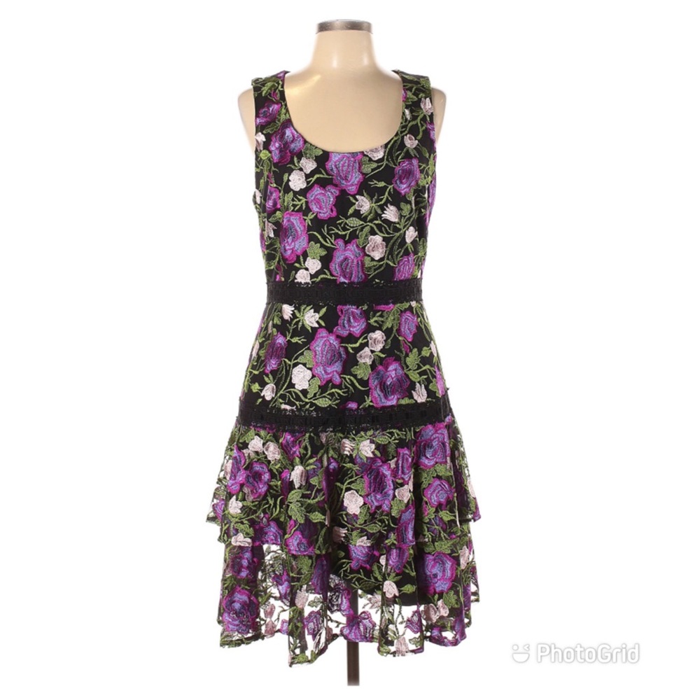 NWT BADGLEY MISCHKA Embroidered Dress Rose Print